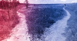 Divergence 492
