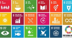 SDGs 492