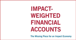 Impact accounts 246