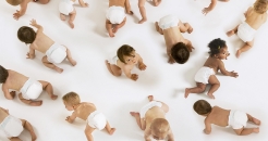 Surestart 246