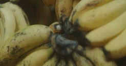 An example of God's call to create