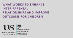The effect of inter-parental relationships on children