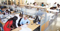 Social action in the workplace